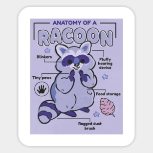 Anatomy of a Racoon Sticker